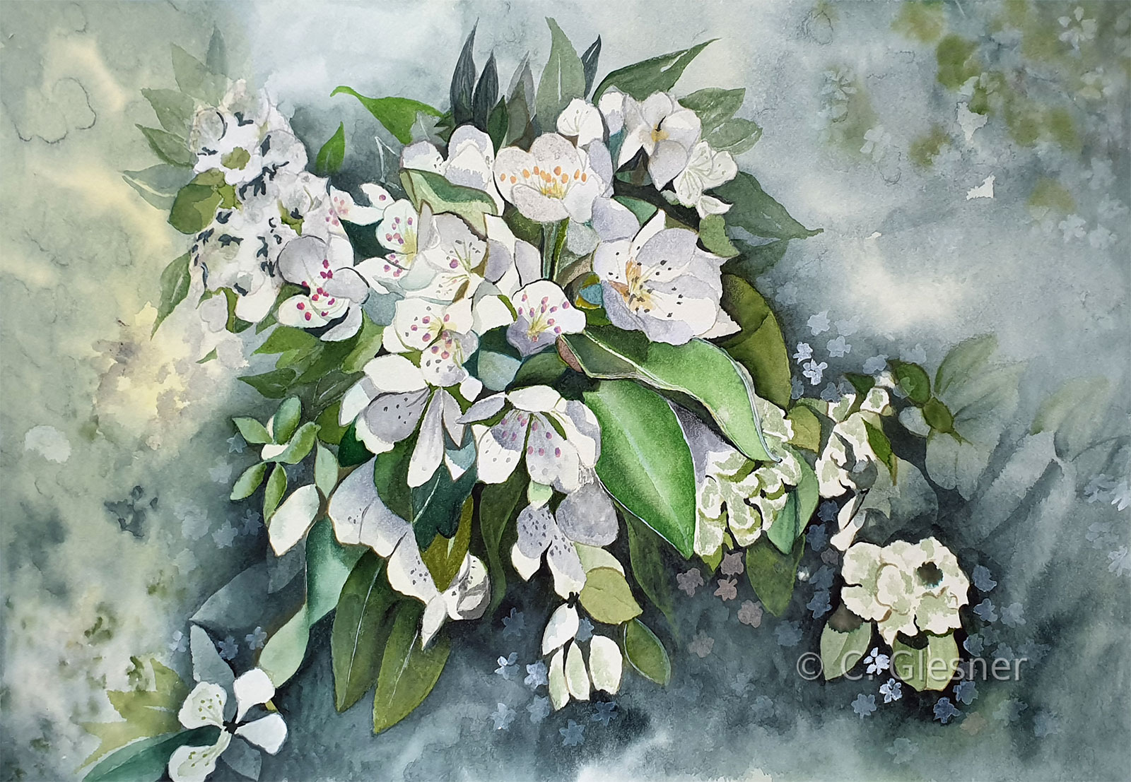 Birnbaumblüten, Aquarell