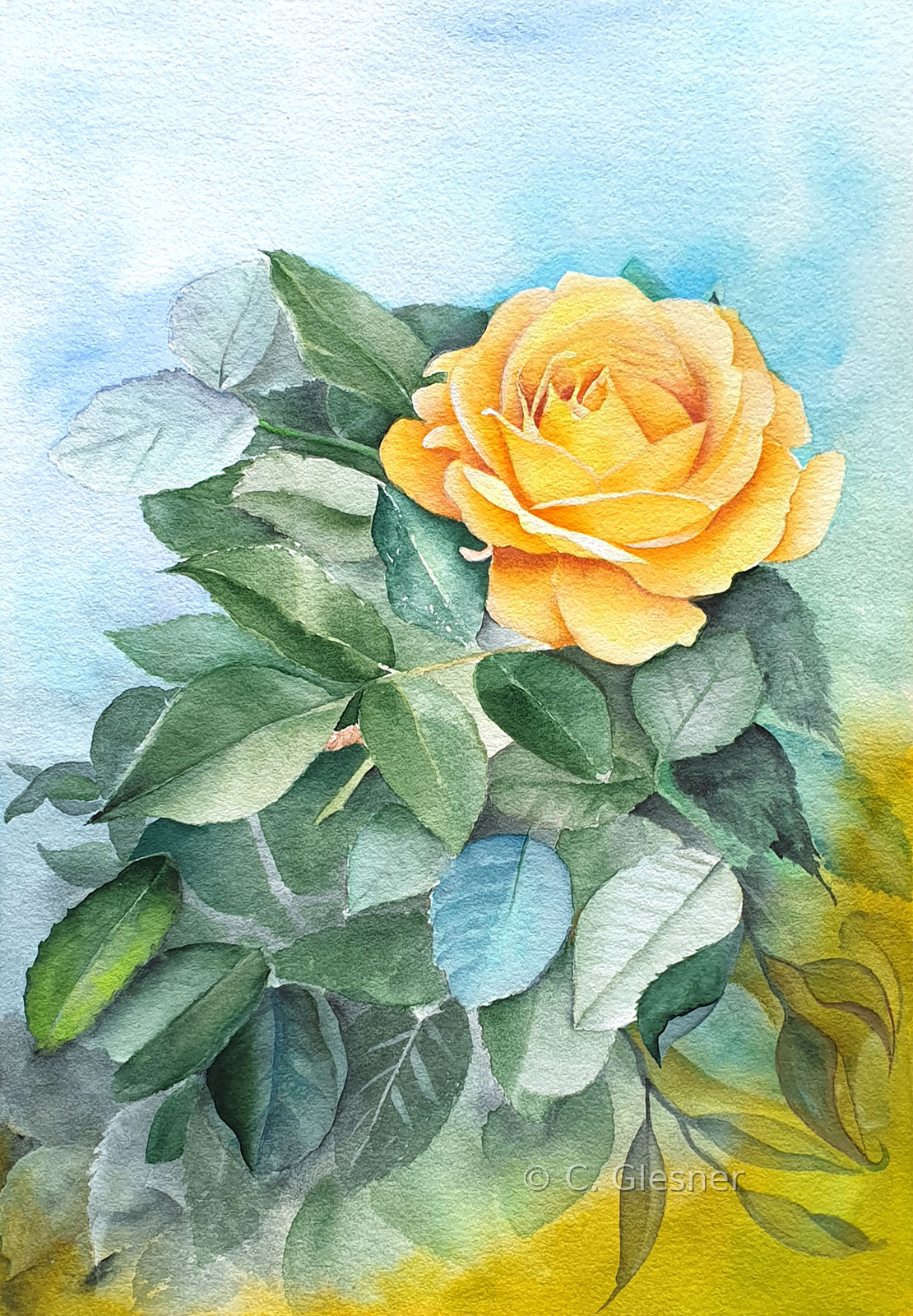 Gelbe Rose mit Laub, Aquarell