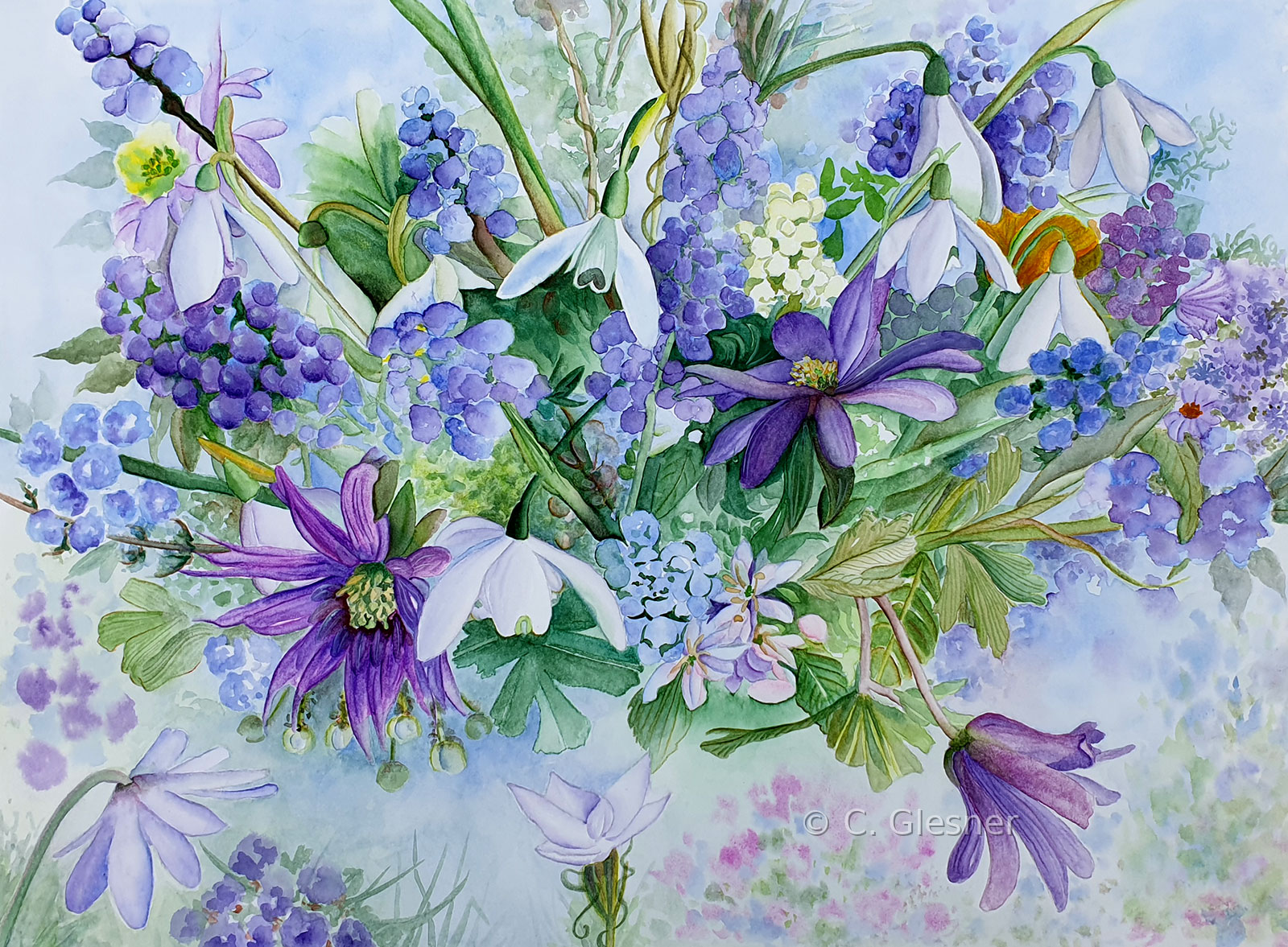 Lila Mix, Aquarell