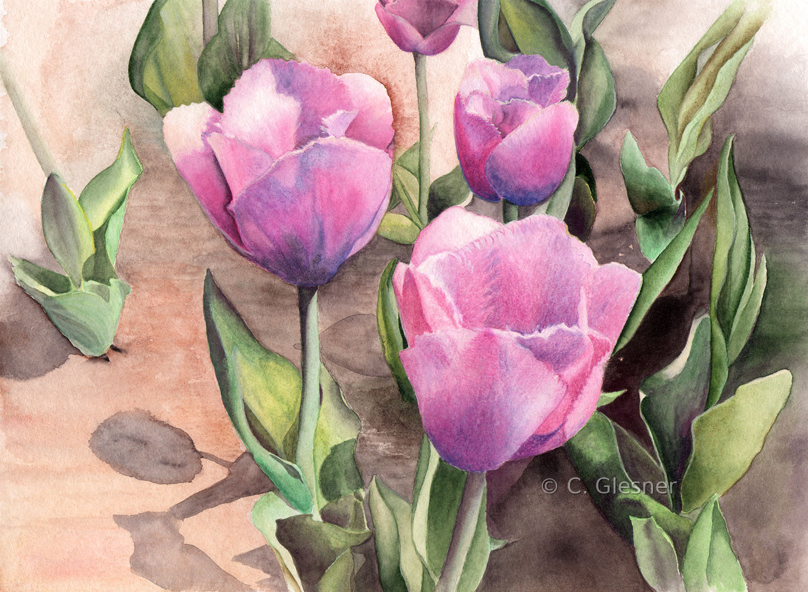 Lila Tulpen im Feld, Aquarell