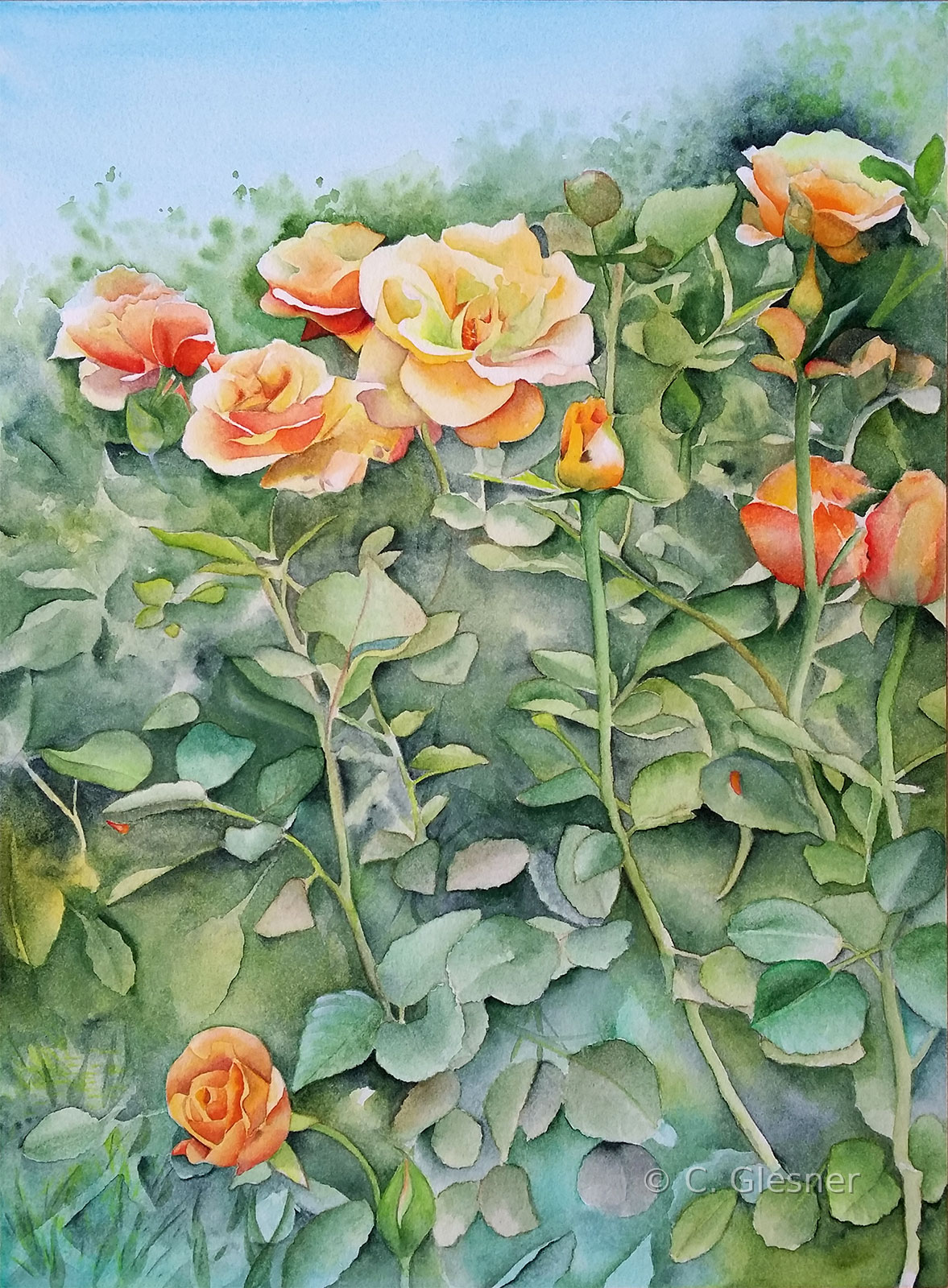 Im Rosengarten, Aquarell