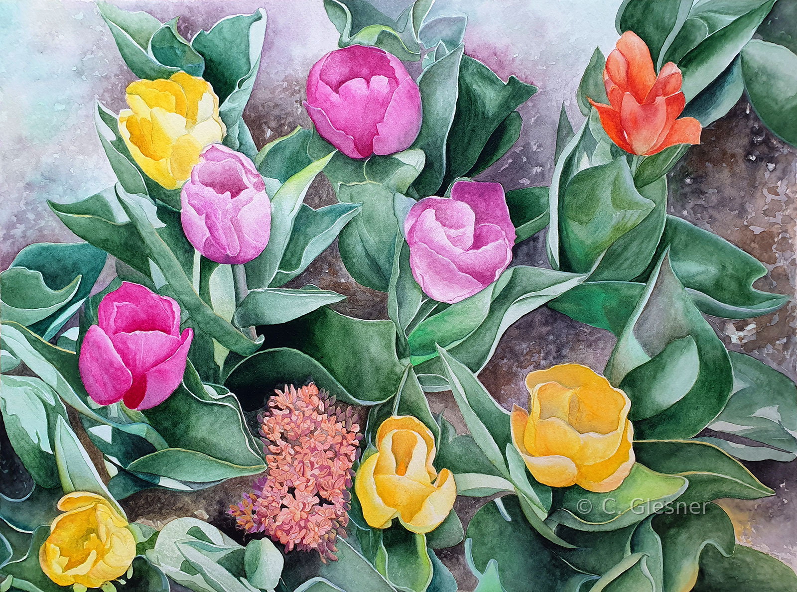 Im Tulpenfeld, Aquarell