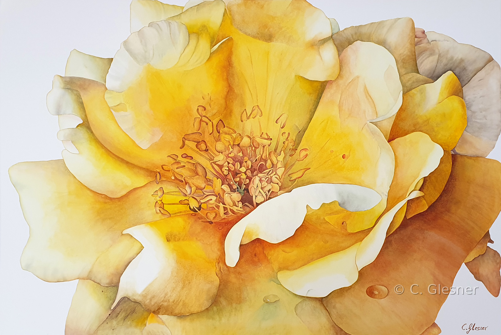 Ellens Rose, Auftragsmalerei