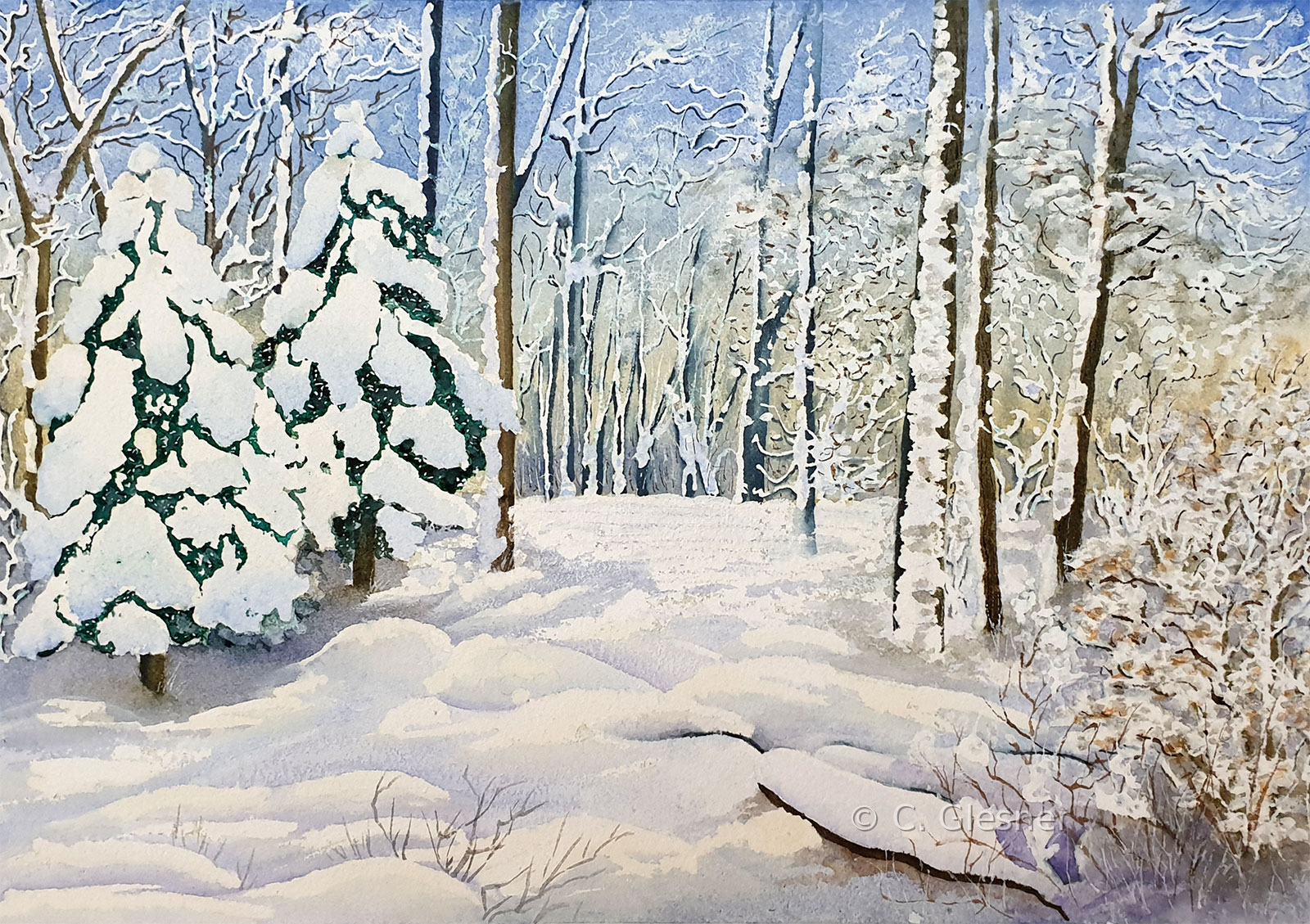 Tannen im Schnee, Aquarell