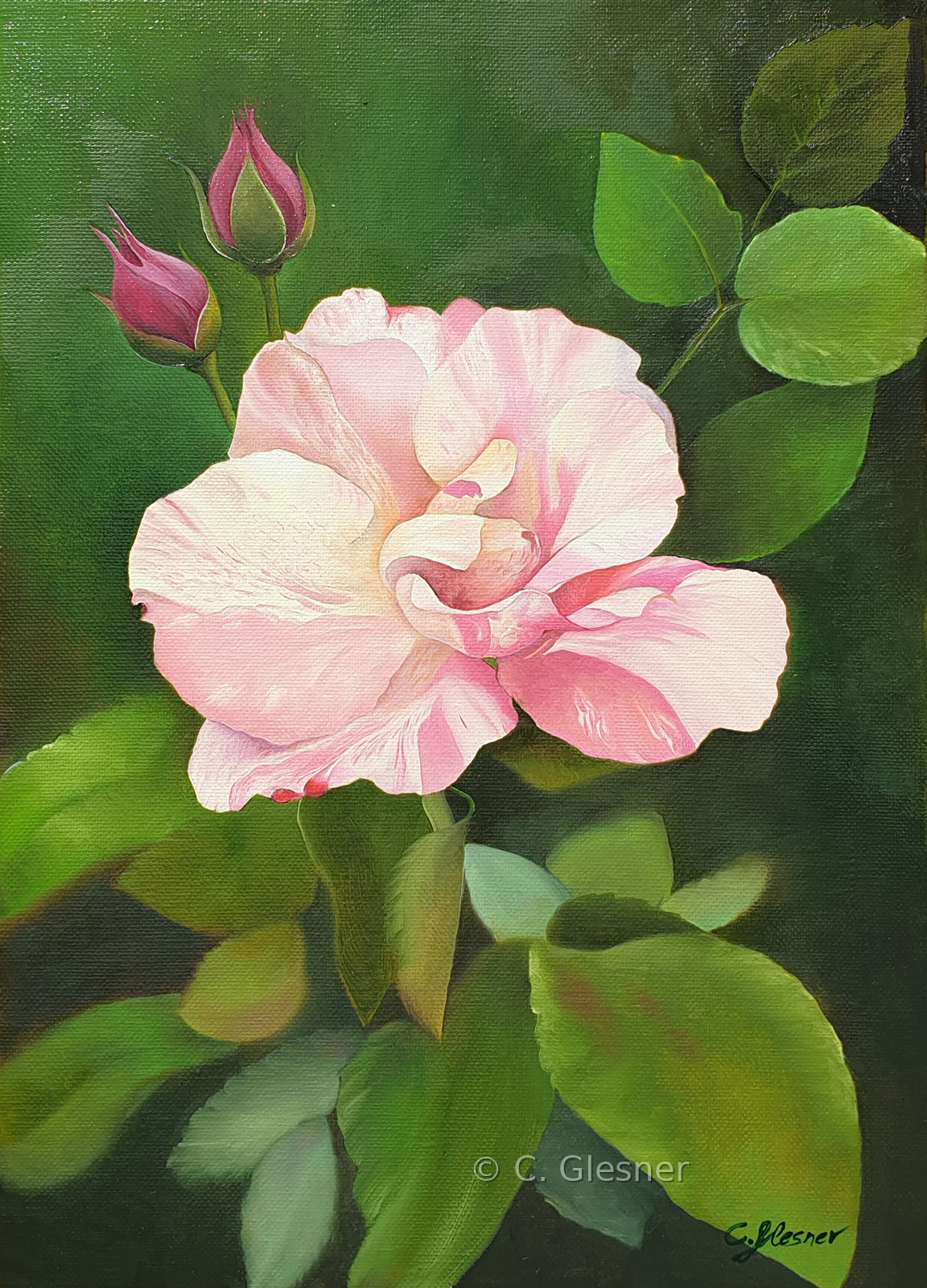 Gestreifte Rose, Öl auf Leinwand, Christine Glesner