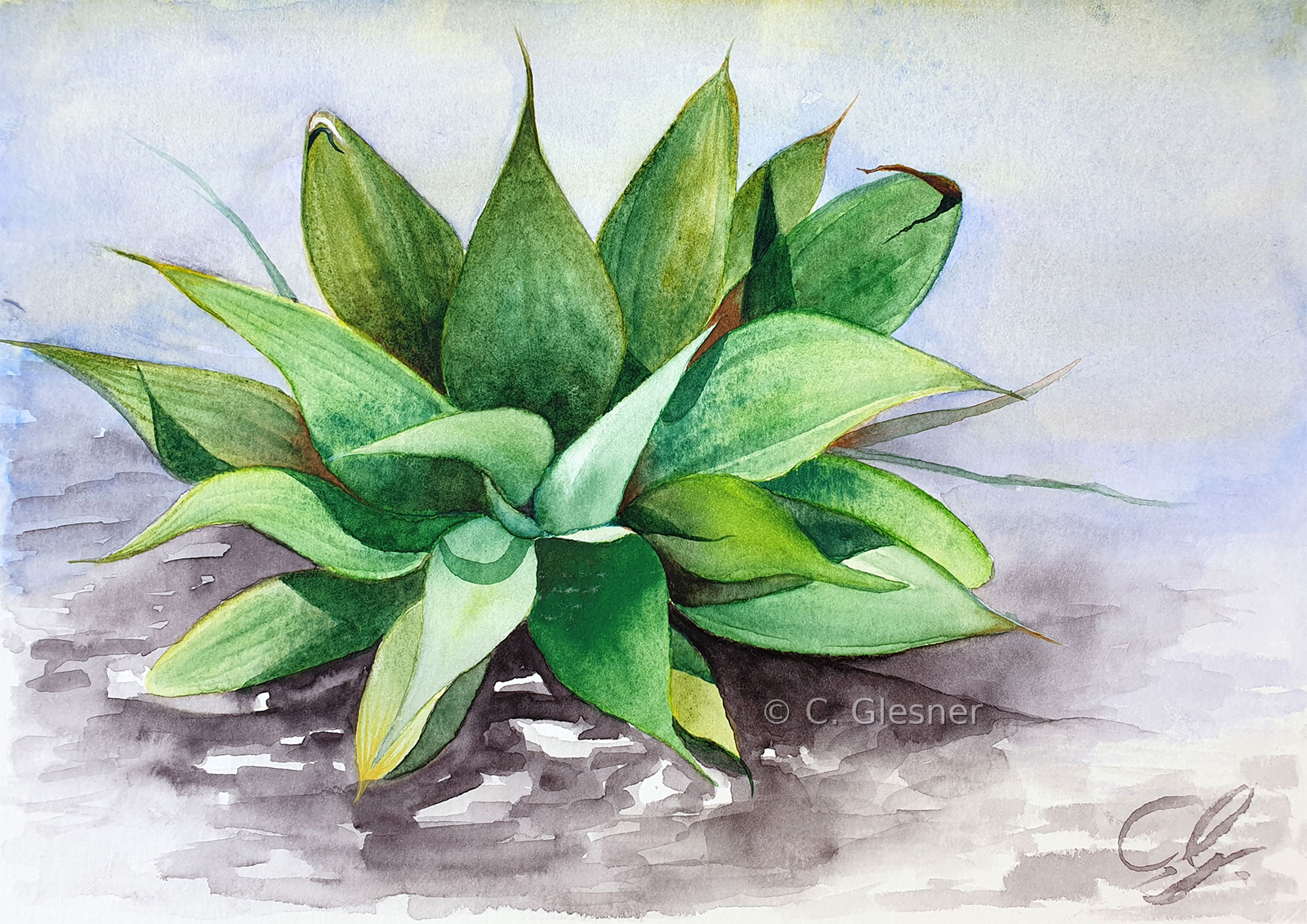 Kleine Agave, Calpe, Aquarell